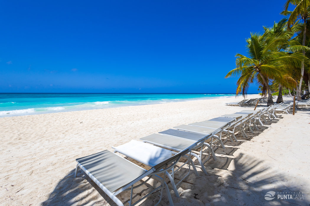 Complete Travel Guide to the Dominican Republic